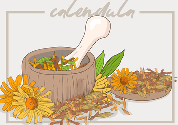 Calendula Cosmetic Recipe - Free vector #410979